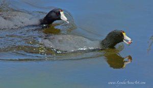 Exactly What You Need