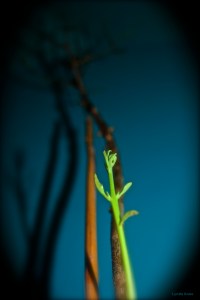 New Beginnings Take Time