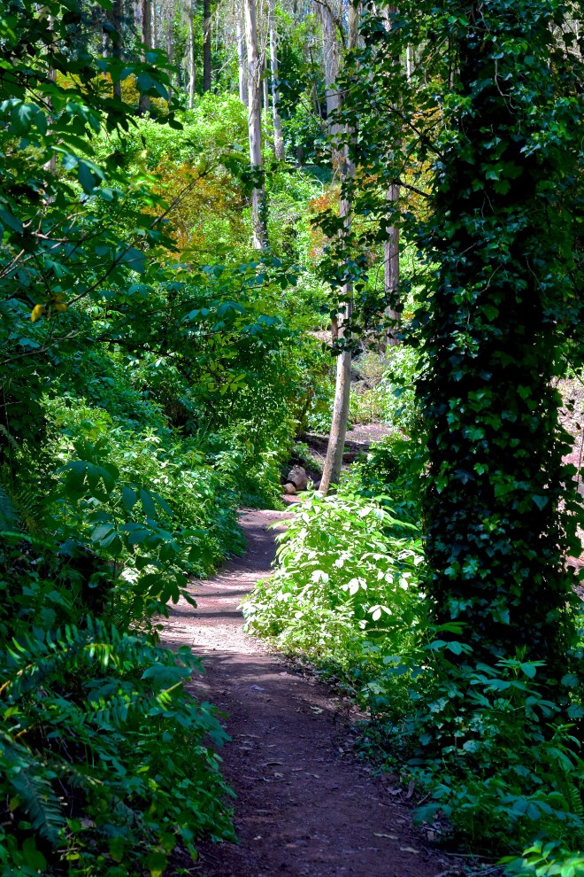 Because You Took Your Own Path.  And Taught Me I Can Too.