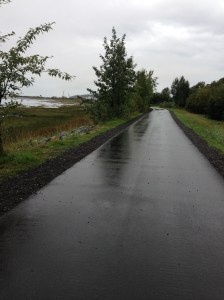 One Location Along the Trail with Bathrooms is Elderberry Park at 1297 W 5th Ave Anchorage, AK 99501