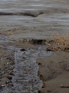 The Tony Knowles Coastal Trail at Low Tide.  The mudflats are dangerous; don't walk out on them!