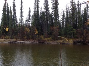 British Columbia, Canada, Via Alaskan HWY