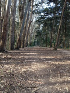 Nature Lovers Don't Stop Hiking For Lack of Bathrooms