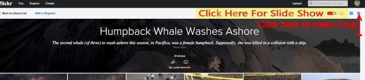 Click on 'Slide Show' icon then hit 'Bigger' button.