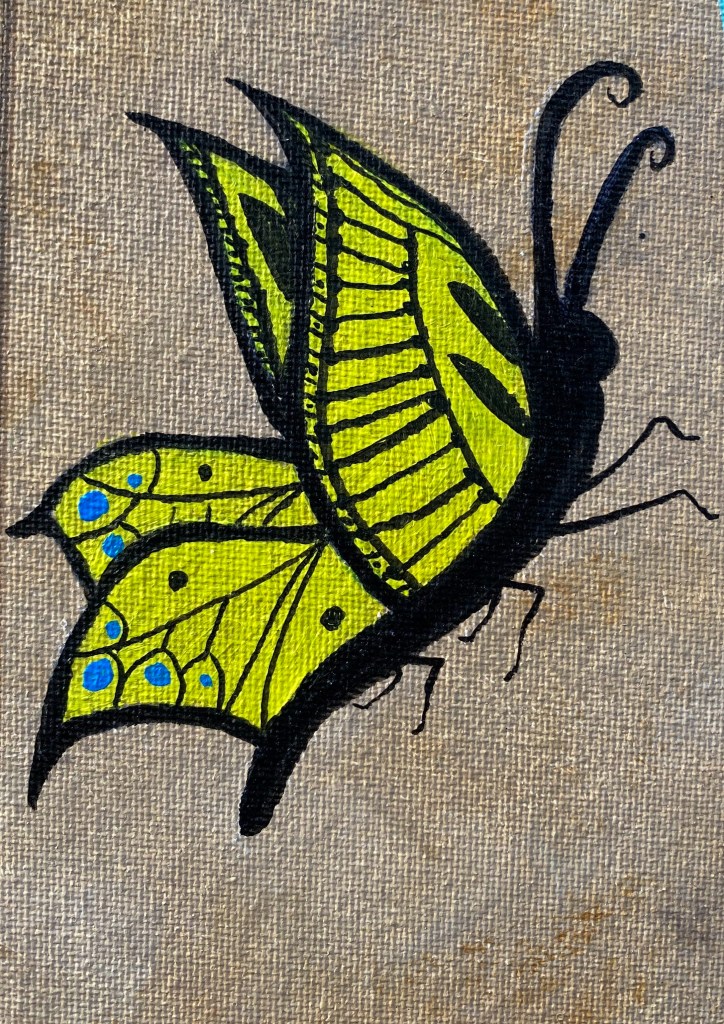 Yellow Tail Swallow aka Sydney Butterfly